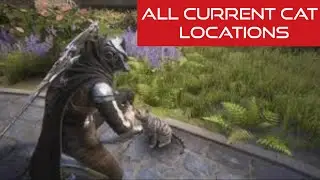 ALL CURRENT CAT LOCATIONS | DESTINY: RISING