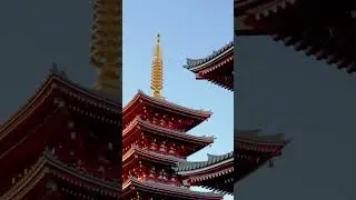 Tokyo in 60 Seconds &mdash; The City Where the Future Meets Tradition 🇯🇵✨