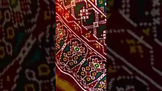 Double ikat patan patola saree
