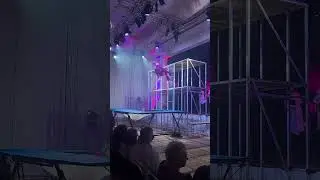 31 грудня 2025 р.