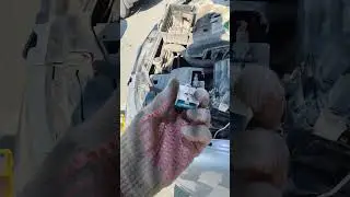 Церато, не запускается❌Гниль. Работа с электросхемами