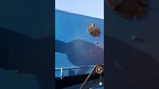 Запуск машины Петкус К531
