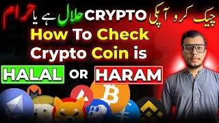 how to find halal crypto coins in 2026 | how to check crypto coin is halal or haram in 2026