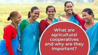 Farming Cooperatives: The Power of Working Together - Heifer International