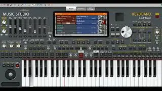 ORG 2024 WM VIDEUS
