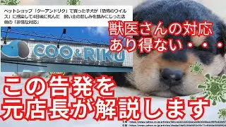 【え？】ペットショップで購入後4日後にパルボウイルスで死亡。店員より獣医さんの対応があり得ない【クーアンドリク】