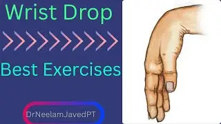 Wrist drop Best Exercises. #wristdrop #wriststrength #physiotherapy #weakness