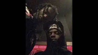 playboi carti + wlr v2 + Pierre bourne + richie souf type beat