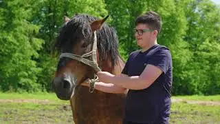 Najbolje iz Hrvatske 3.sezona, 1.ep. BREZNIČKI HUM, NOVI MAROF