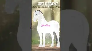star equestrian growing my foal