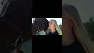 Horse lovely nature #horse #horserace #lrc #racing#sports