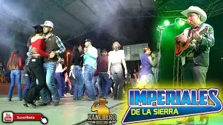 Huapanguitos norteños con los Imperiales de la sierra en San Sebastian San Joaquin Qro