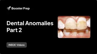 Pediatrics | Dental Anomalies Part 2 | INBDE, NDEB, ADAT