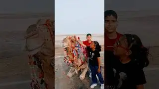 camel show#fun #rann of kach#rannutsav2025#kutch#gujarat#trending#viralshorts#shorts#viralvideo#