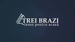 #PW35.  treibrazi.biz - Website Presentation