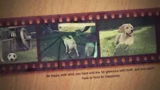 Vintage Slide Projector Photo Gallery - After Effects Project Files | VideoHive 5373934