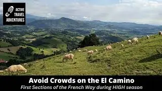 Avoiding Crowds on the El Camino : The First Stages of the French Way