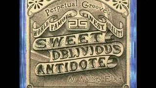 Perpetual Groove - Sweet Oblivious Antidote