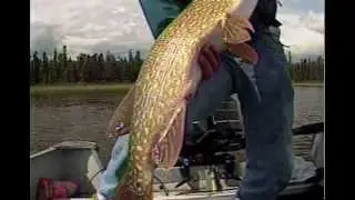 North American Fishing Club: Pike and Muskie Tactics Part 4