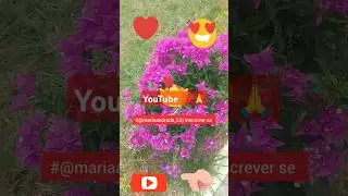 #####l##l#@mariaandrade_k3j
