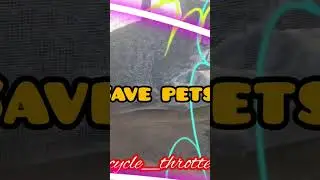 save pets #ctfjosh #automobile #tamilcomedy #cyclettf #vlog #tamilfilms #minivlog #ttftube #tttf