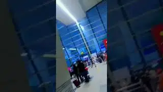 #usa#donkey vidio#usa donkey#india to usa #update#1vidio donkey