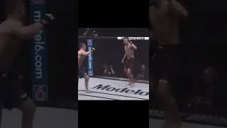 Dustin poirier knockouts #knockoutstage #usa #ufc
