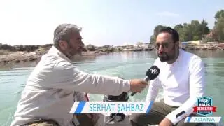 Balık Dedektifi