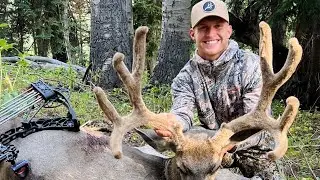 2024 Utah Archery Mule Deer Hunt &ldquo;Blade&rdquo;