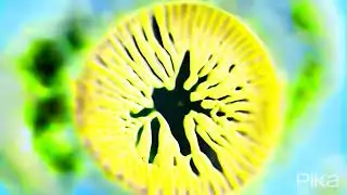 🔬 Unveiling the Unseen: Scientific Micro Photography Chronicles Nature's Secrets! 📸🌿