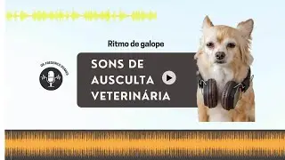 Ritmo de galope | EP. 7