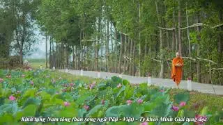 Kinh tụng Nam tông (bản song ngữ Pāḷi - Việt) - Tỳ kheo Minh Giải tụng đọc