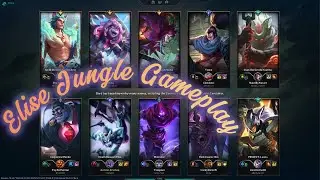 Elise Jungle & Friends