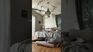 #dogvideos #dogprankvideo #dogs #funnyanimals