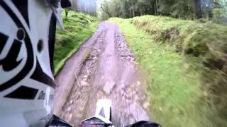 Getting It Wrong In The Brechfa Forest ......