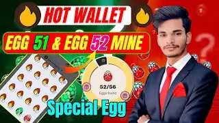 Hot Wallet 51 & 52 Eggs Mining Process | Hot Wallet Special Egg 51 & 52 | Hot Wallet New Egg