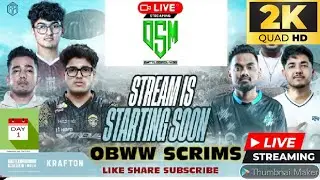 OSM Persents Squad OBWW Scrims 