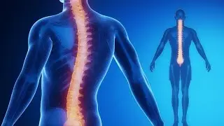 Back Pain Breakthrough Reviews⚠️Can Eliminate Back Pain Naturally & Holistically In 30 Days?