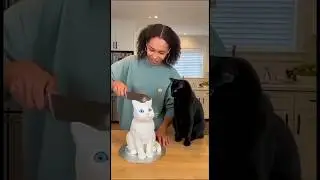 Cats FREAK OUT Over Hyper-Realistic Cakes! 😱