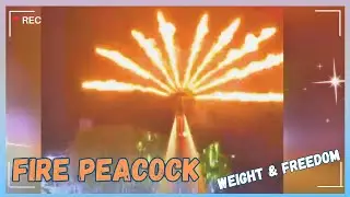 The live record flyboard show in the night Sky | Burden & Freedom | Full version #flyboard #水上飞人