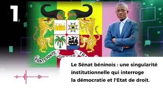 Le S&eacute;nat b&eacute;ninois : progr&egrave;s d&eacute;mocratique ou danger pour la d&eacute;mocratie ?