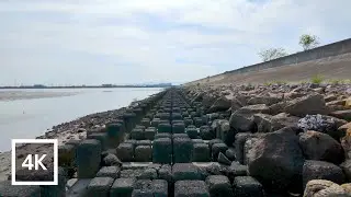 Japan 4K Walking Tour - Fujimae Tidal Flats: A Nature Lover's Paradise [4K/60fps]