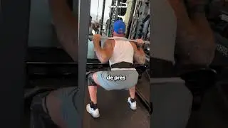 Il Porte Un Traceur Gps !