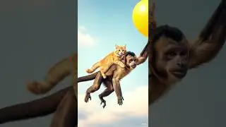 Monkey 🐒 & Cat 🐱 Best Friends Flying Together ✨ | Unreal Friendship #shorts #shortsfeed #funny #ai