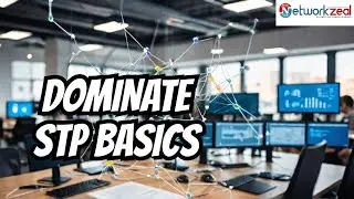 STP Terms  STP Port Roles  STP States  CCNA CCNP switching