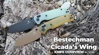 Bestechman Cicadas Wing Folding Knife 5-Minute Overview | Atlantic Knife