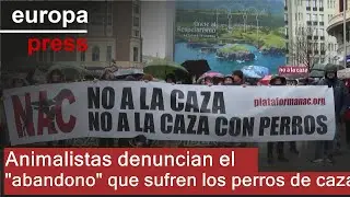 Animalistas denuncian el 
