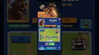 hog rider level 15
