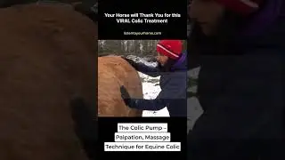 If you can't find a solution for your bloated horse, Colic Pump is what you need!