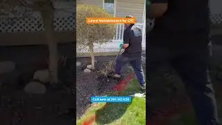 CS7 Lawn Maintenance Services | Call now at 204 312 1434